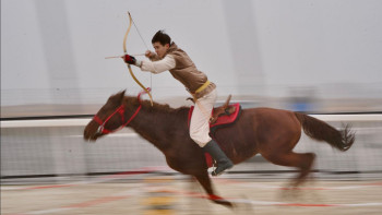 Фотография к новости: Шымкентте Жамбы ату федерациясының кубогі өтті