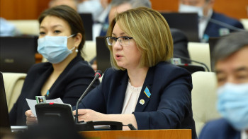 Фотография к новости: Есірткіге қатысы бар "шибөрілердің" басшылары да жауапқа тартылуы қажет – депутат