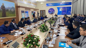 Фотография к новости: 2025 жылға дейін Шығыс Қазақстанда 76 млн ағаш отырғызылады