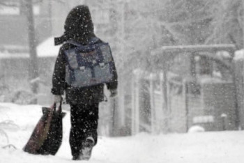 Фотография к новости: Астаналық оқушылар мен студенттердің сабақтары онлайн өтеді