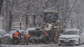 Фотография к новости: Алматыда қардың айлық нормасының 28%-ы жауған