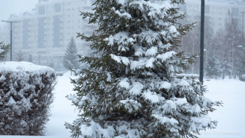 Фотография к новости: Cиноптиктер 16 желтоқсандағы ауа райын болжады