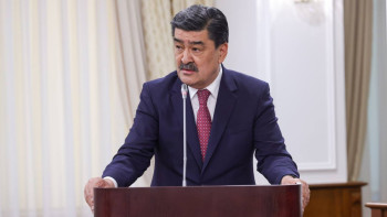 Фотография к новости: Стихиялық қоқыс: Экология министрі жағдайды қалай шешетінін айтты