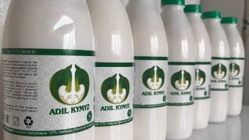 Фотография к новости: Абай облысында 226 адам жеңілдетілген микрокредит алды