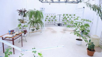 Фотография к новости: Қарағандыда жылыжайда қарбыз бен орхидея өсіріледі