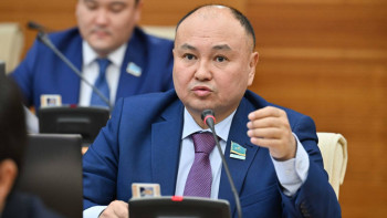 Фотография к новости: Қазақстанға басқа елдердің тауарларын неге емін-еркін кіргізе береміз? – депутат