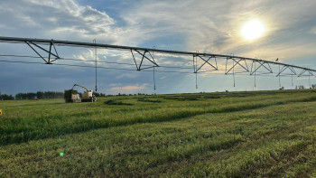 Фотография к новости: Жыл қорытындысы: азық-түлік қауіпсіздігі және АӨК-ті дамыту