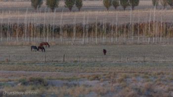 Фотография к новости: Ақтөбеде прокурорлар мемлекетке жер қайтарды