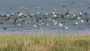 Фотография к новости: Қазақстандағы ең ірі қорықтардың бірі жабылды