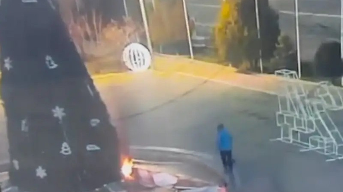  видеодан кадр