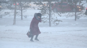 Фотография к новости: Бұрқасын, көктайғақ: Бірнеше өңірде дауылды ескерту жарияланды