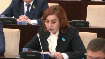 Фотография к новости: Президент ескі жүйе мен түрлі ықпалды күштерге қатысты қауесетке нүкте қойды – сенатор