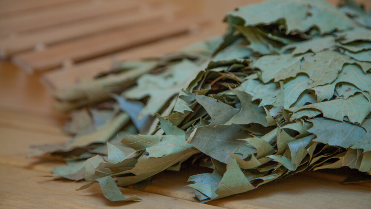  МТРК «Мир» / Светлана Родина