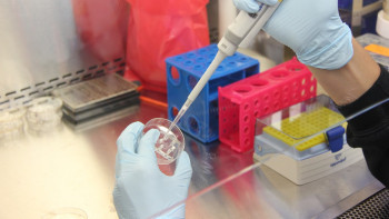 Фотография к новости: Қазақстандық жас ғалым тауықтың қиынан таптырмас тыңайтқыш ойлап тапты