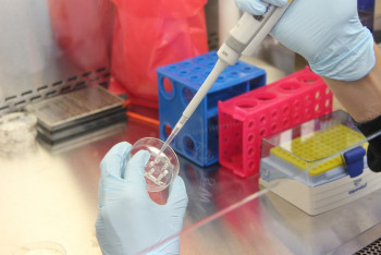 Фотография к новости: Қазақстандық жас ғалым тауықтың қиынан таптырмас тыңайтқыш ойлап тапты