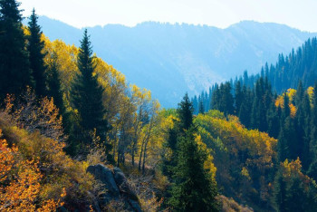 Фотография к новости: Алматы облысында туризмді дамытуға 58 млрд теңге инвестиция тартылады