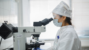 Фотография к новости: Бельгиялық азаматтың "анасы" болуы мүмкін әйелдің ДНҚ нәтижесі шықты