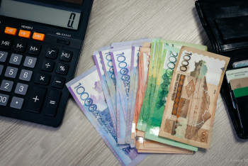 Фотография к новости: Балаға қатысты дерек egov.kz порталында болмаса не істеу керек?