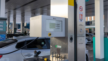 Фотография к новости: Кубада жанармай бағасы бес есе қымбаттайды