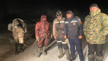 Фотография к новости: Ұлытауда жоғалып кеткен шопандар аман-есен табылды