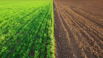 Фотография к новости: Заңсыз берілген және пайдаланылмаған 10 млн гектар жер мемлекетке қайтарылды