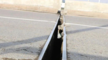 Фотография к новости: Алматыдағы айналма көпір екіге бөлініп тұр