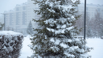 Фотография к новости: 14 қаңтарда елдің басым бөлігінде ауа райы құбылмалы болады