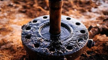 Фотография к новости: Мұнай бағасы түссе, ел экономикасын қай салалар асырайды?