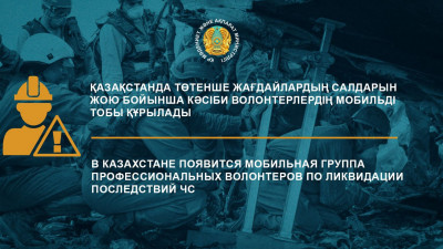 Елімізде ТЖ салдарын жою бойынша кәсіби еріктілердің мобильді тобы құрылады