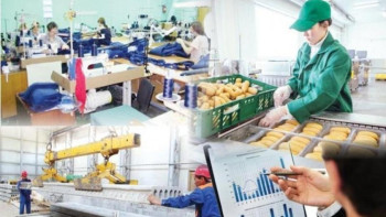 Фотография к новости: Кәсіпкерлікті дамыту жөніндегі ұлттық жобаға 756 мыңнан астам адам қатысты