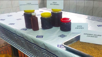 Фотография к новости: Жетісулық кәсіпкер қант қызылшасынан төрт түрлі өнім шығара бастады