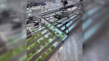 Фотография к новости: Алматы облысында үш есірткі зертханасы жойылды