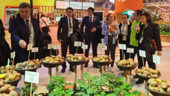 Фотография к новости: Қазақстандық фермерлер «Жасыл апта» халықаралық көрмесінде өз өнімдерін ұсынды