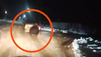 Фотография к новости: Жамбыл облысында балаларды шанамен сырғанатқан көлік жүргізуші жауапқа тартылды