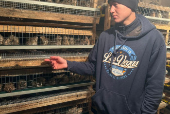 Фотография к новости: Кәсіп түбі – нәсіп: бөдене бизнесі