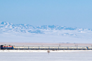 Фотография к новости: Жамбыл облысында екі теміржолшыны пойыз басып кетті