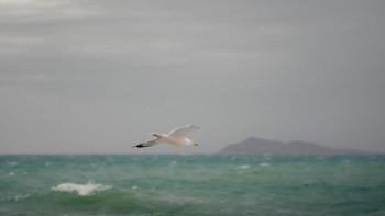 Фотография к новости: Солтүстік Аралға 2 млрд текше метрден астам су жіберілді