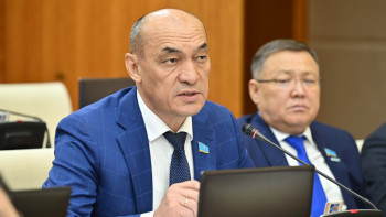 Фотография к новости: Киіктер көшетін жолдарды әкімдіктер жекеменшікке сатып жіберген – депутат