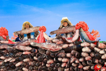 Фотография к новости: Шыңжаңдағы балық аулау маусымы