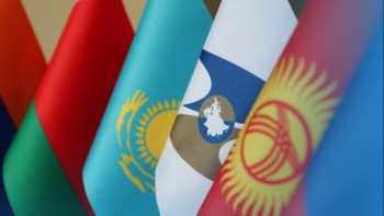 Фотография к новости: ЕЭК ветеринариялық дезқұралдардың айналымы қағидаларын бекітті