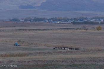 Фотография к новости: 70 мыңнан астам адам апатты жағдайдағы көпірден өтіп жүр – депутат