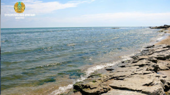 Фотография к новости: Қазақстанда Каспий теңізінің ғылыми-зерттеу институты құрылады