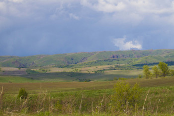 Фотография к новости: Жетісулық прокурорлар 30 жер телімін мемлекетке қайтарды