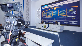 Фотография к новости: Қазақстанда қанша босқын жүргені белгілі болды