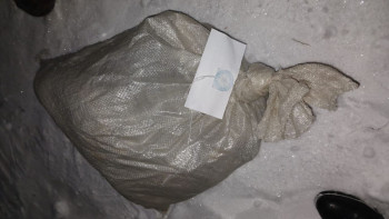 Фотография к новости: Ақмола полицейлері елді мекенге кірген елікті аулау фактісін тергеп жатыр