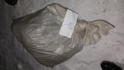 Ақмола полицейлері елді мекенге кірген елікті аулау фактісін тергеп жатыр