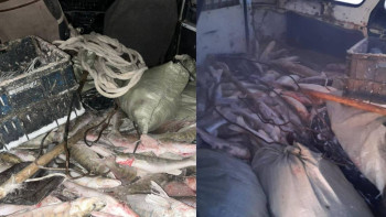 Фотография к новости: ШҚО полицейлері заңсыз ауланған 130 келі балықты тәркіледі