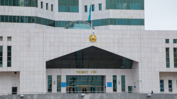 Фотография к новости: Үкімет шегірткемен күреске қосымша қаржы бөлді