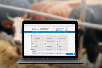 Фотография к новости: Ірі қара және ұсақ малдарды экспорттауға арналған квоталар автоматты бөлінеді