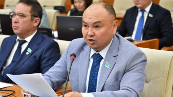 Фотография к новости: Депутат олигархтарды спорттан қуып жіберуді ұсынды